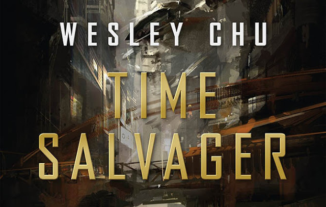time salvager book