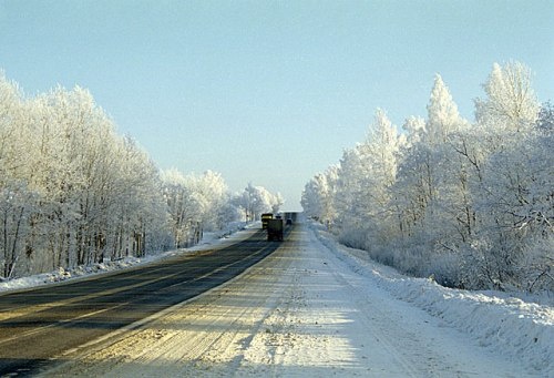 Авария на трассе Скандинавия в Ленинградской области: последние новости о ДТП