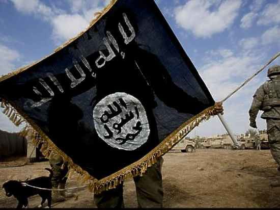Новое видео казни ИГИЛ: боевики показали джихади джуниора