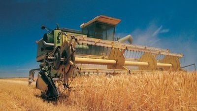 Выращивание и хранение зерновых культур