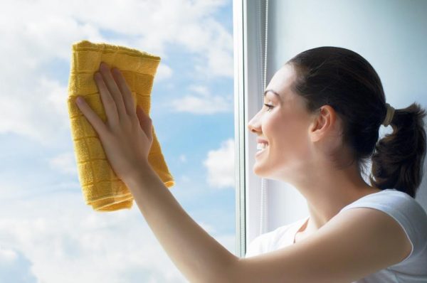 professional-window-cleaning-1024x680
